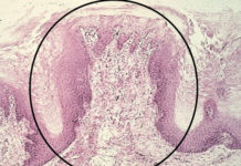 Oral Histology platform